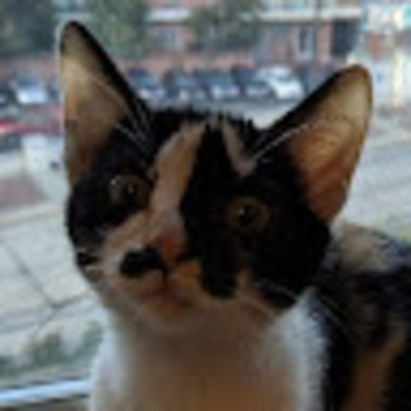 lilyblum05